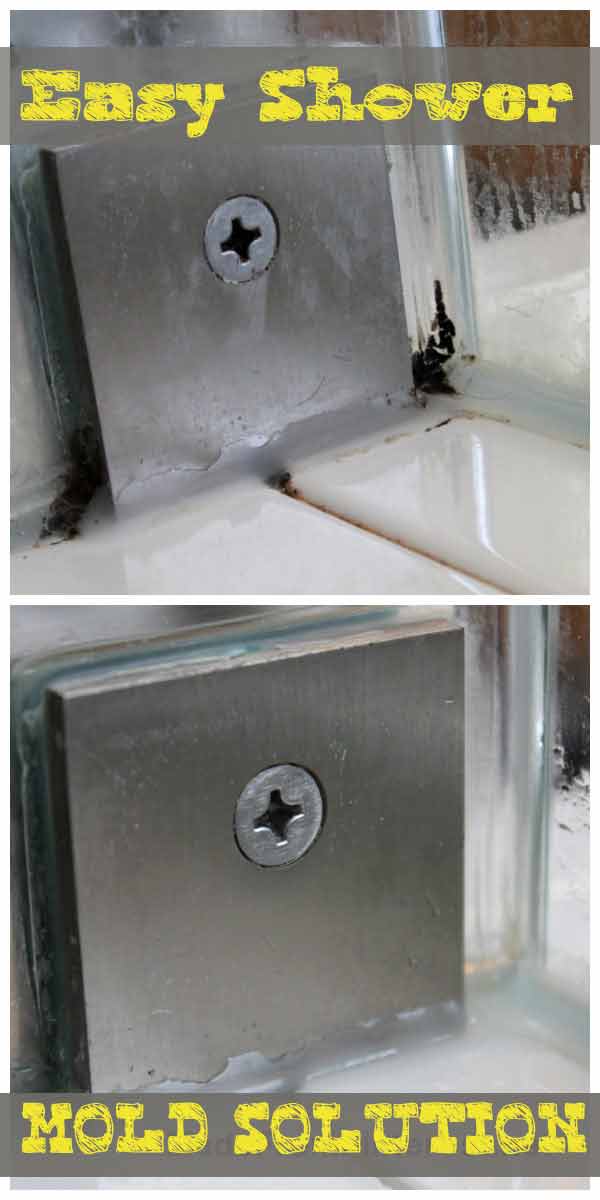 Shower-mold-solution