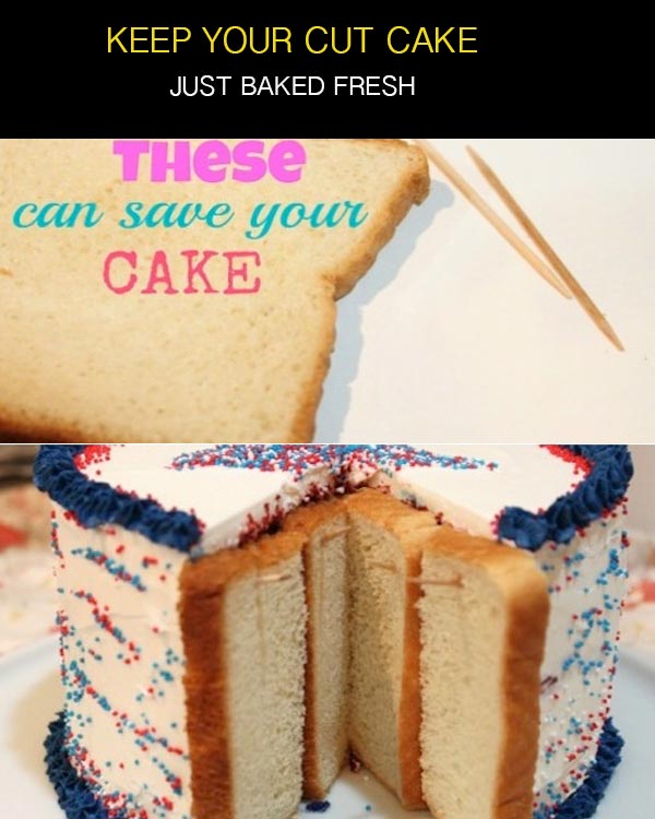 no stale cake