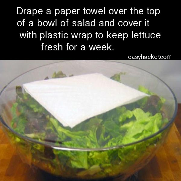 how to keep lettuce fresh