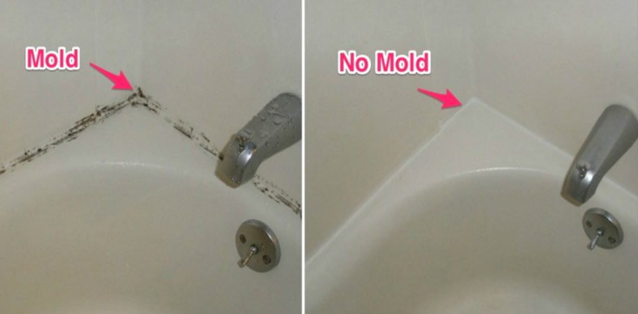 mold-remover-1