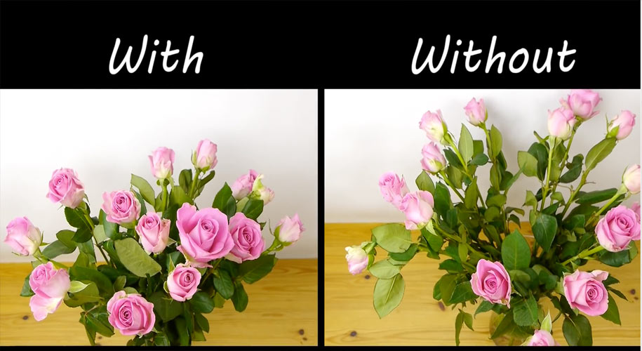 Flower-arrangement-trick-1